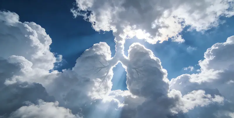 天津肺癌靶向39基因检测（组织）图片1