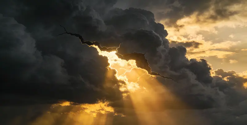 天津肺癌8基因突变检测（组织）图片1