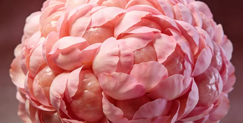 天津BRCA1/2乳腺癌卵巢癌基因检测图片1